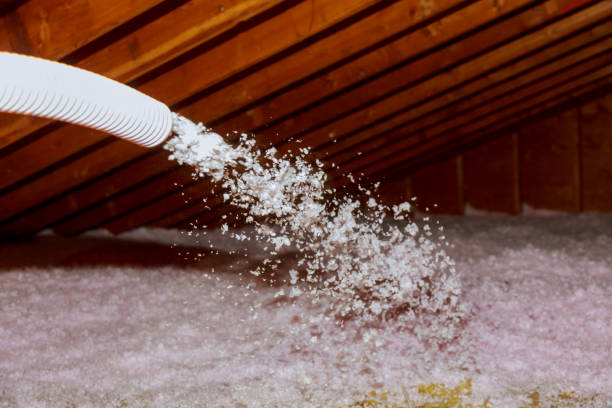 Best Energy Efficiency Insulation in Sweetwater, TX