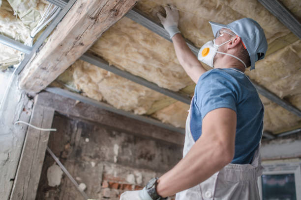 Best Eco-Friendly Insulation in Sweetwater, TX