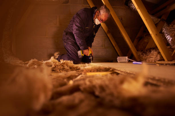 Best Cellulose Insulation in Sweetwater, TX