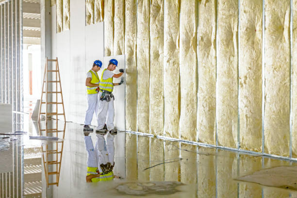 Reliable Sweetwater, TX Insulation Contractor Solutions